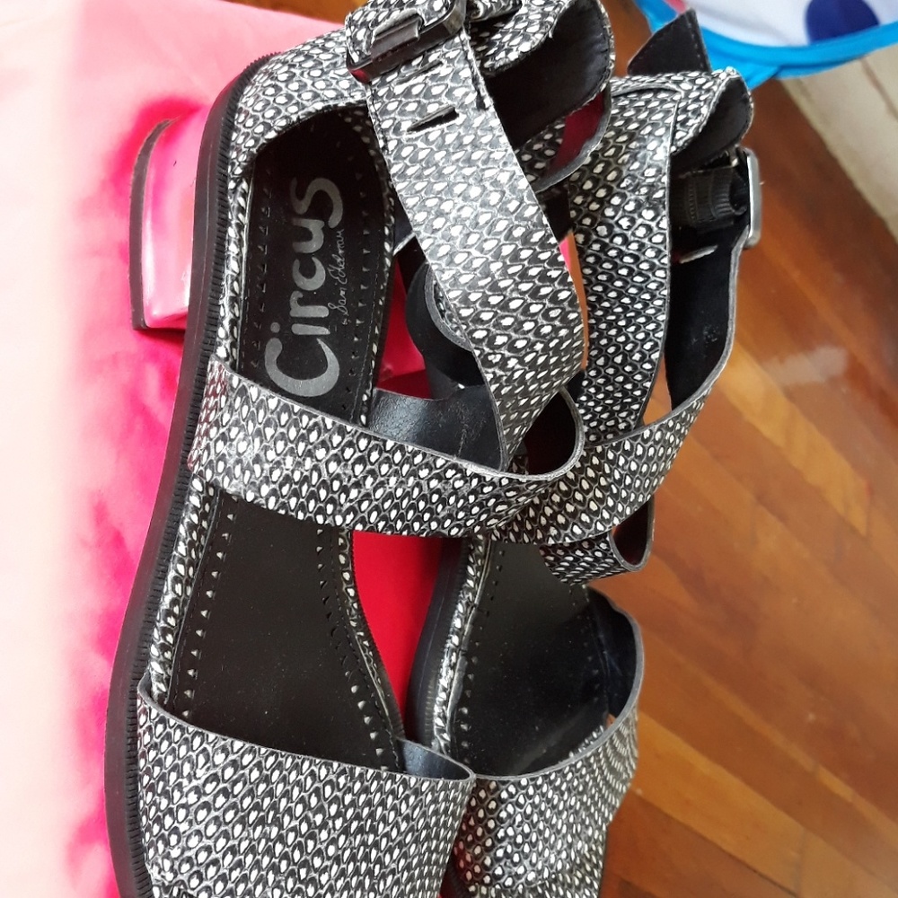 Circus by Sam Edelman - Picture 2 of 8